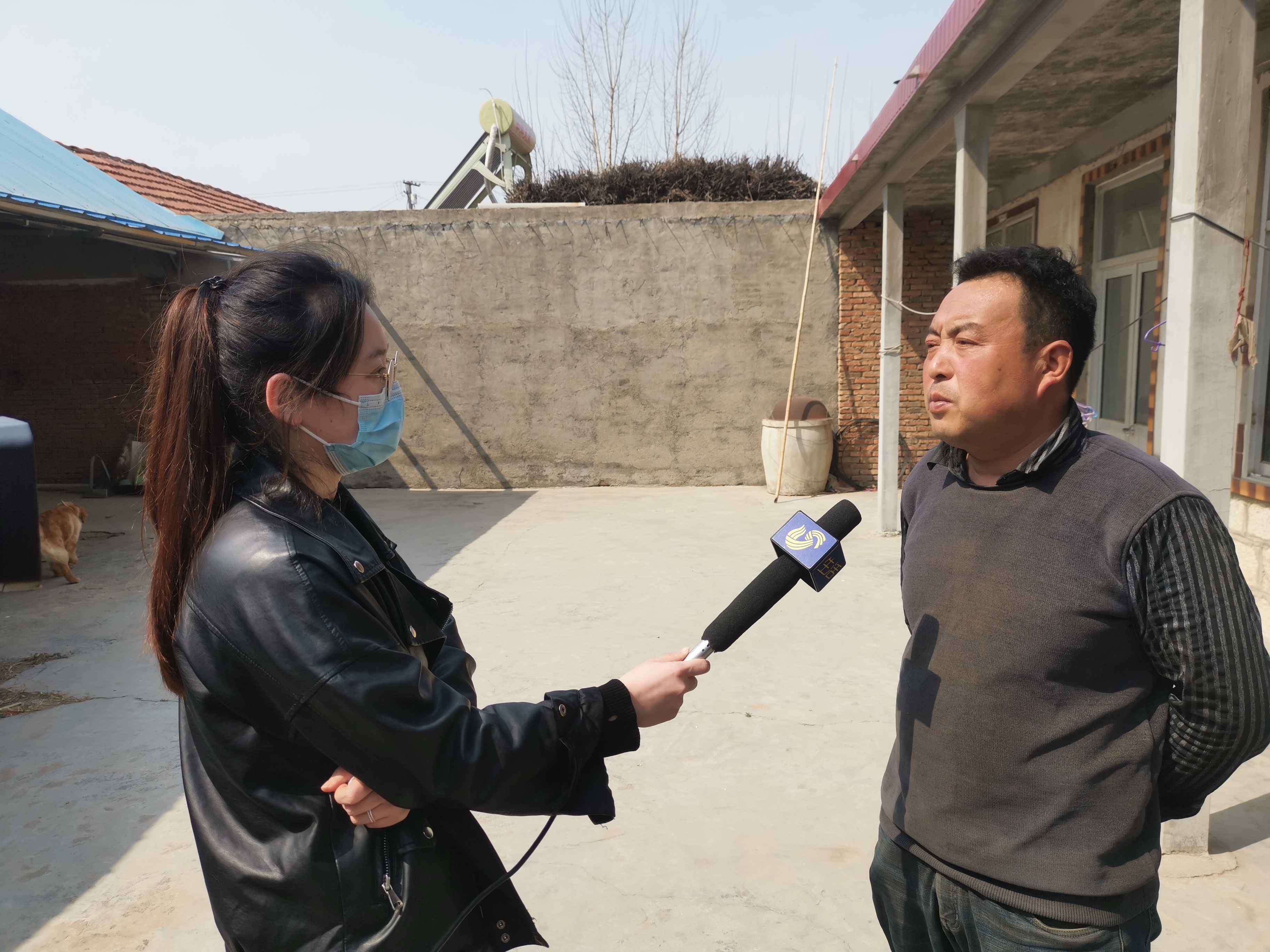 第209所 平度市崔家集镇状元府半岛登陆入口刘丽新小学 第209所 平度市崔家集镇状元府半岛登陆入口刘丽新小学